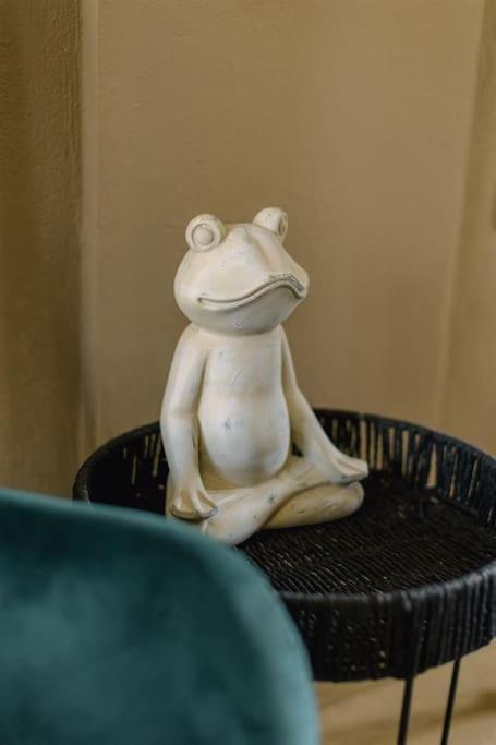 Frog 2 Όμορφο Διαμέρισμα Στα Ιωαννινα Янина Экстерьер фото
